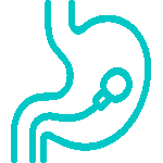 内視鏡検査アイコン